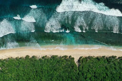 Bird's-eye view